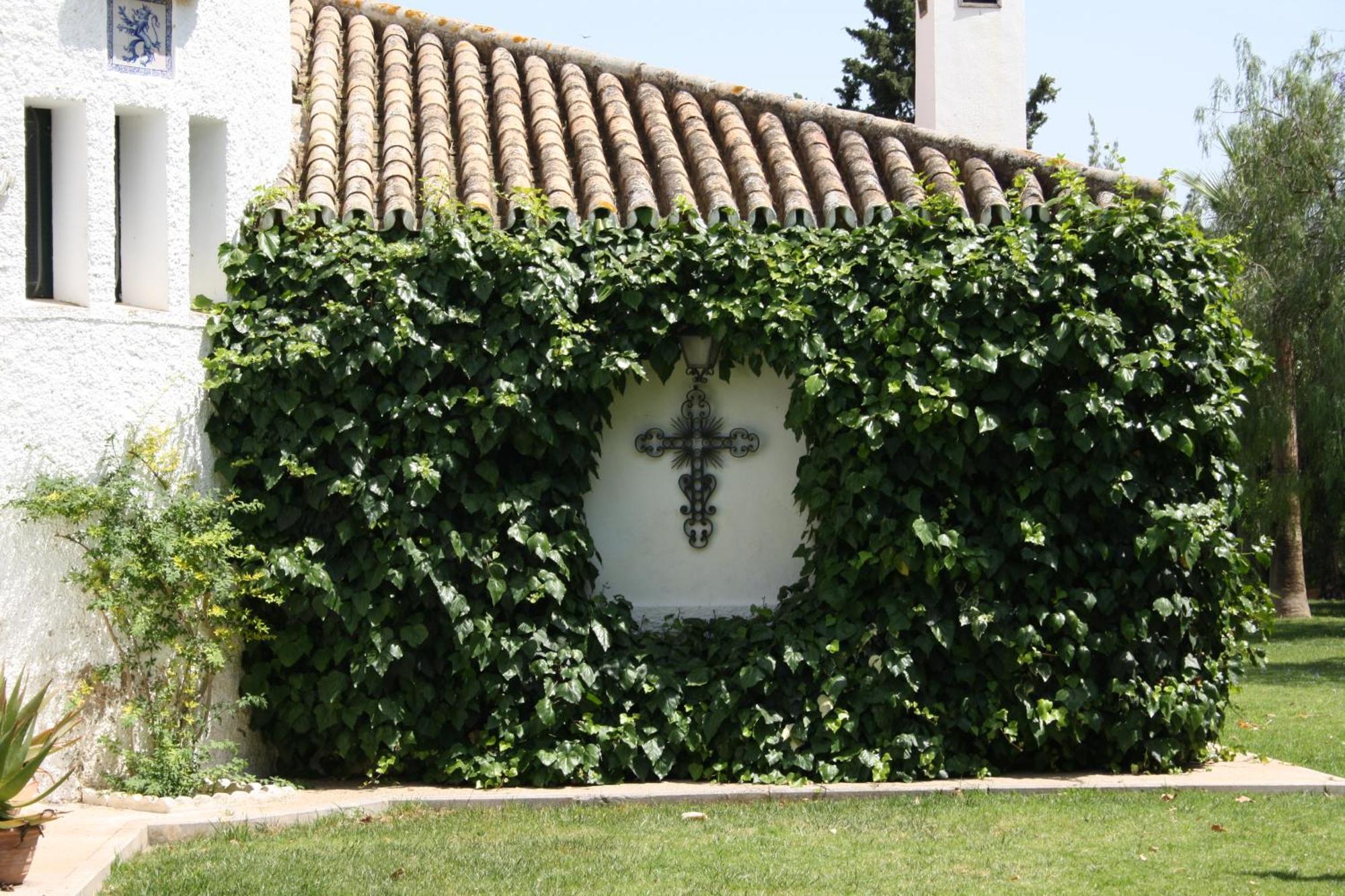 Casa Rural Cortijo El Chamorro - Seville — Fotos 1